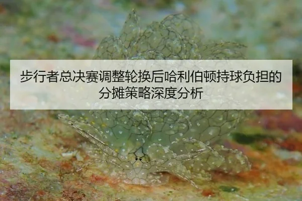 bu-xing-zhe-zong-jue-sai-tiao-zheng-lun-huan-hou-ha-li-bo-dun-chi-qiu-fu-dan-de-fen-tan-ce-lve-shen-du-fen-xi-2-363.jpg